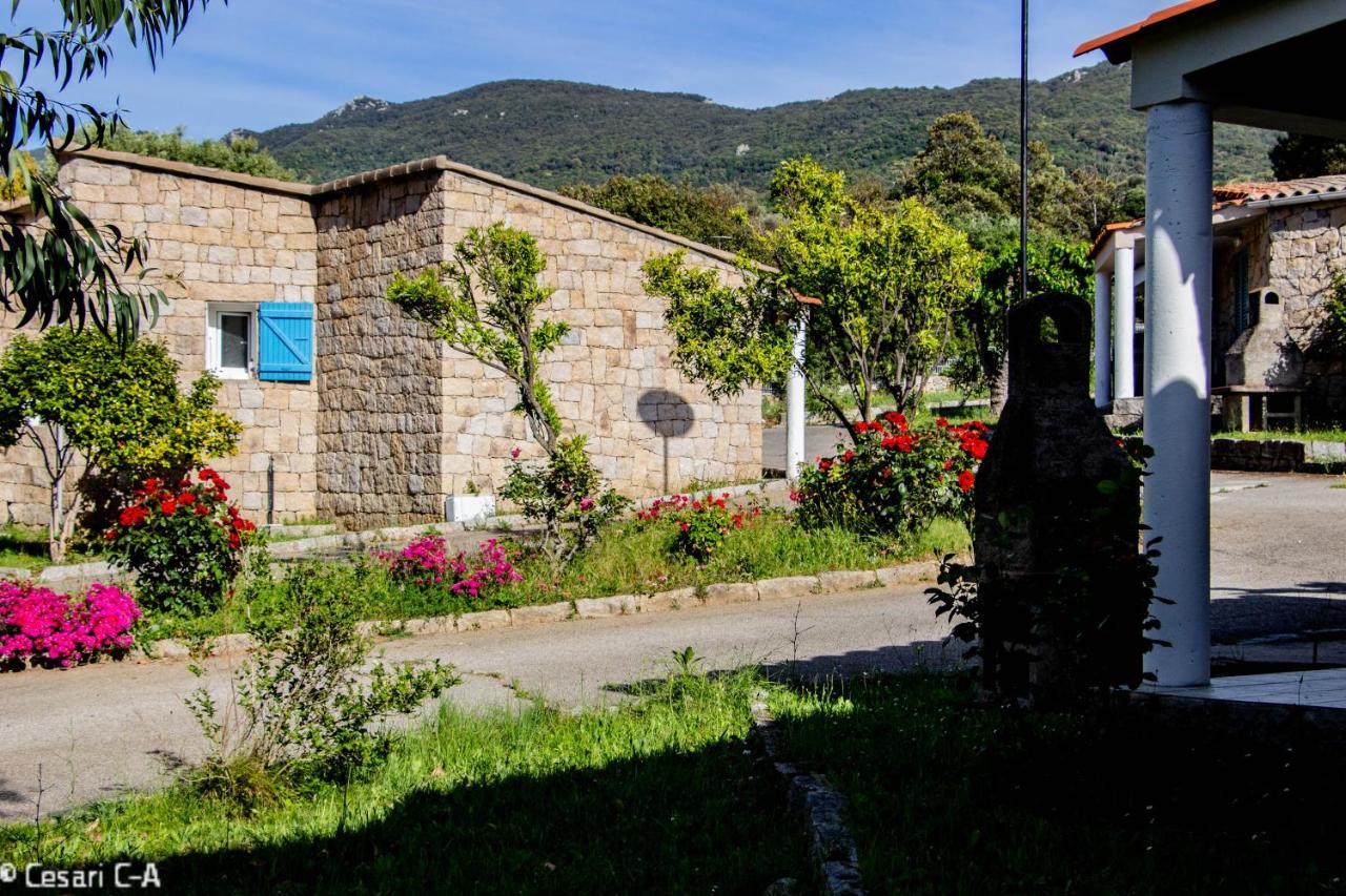 Résidence De Filitosa - Le Torréen Apartamento Sollacaro